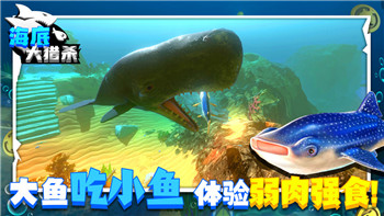艾爾登法環(huán)全流程詳細(xì) 3dm：深度解析游戲全劇情與探索技巧，帶你走向終極勝利