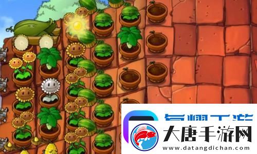 界外狂潮下載：體驗前所未有的游戲世界！